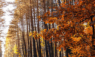 618 电商大促：淘宝、京东、抖音、快手等平台新功能与优惠活动汇总