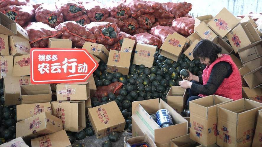 拼多多农云行动_拼多多帮人助力_助力农产带升级