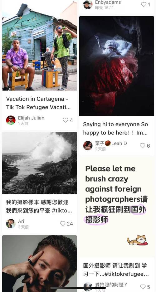 小红书TikTok出海对比分析_小红书电商出海领航计划_怎么给小红书买热度