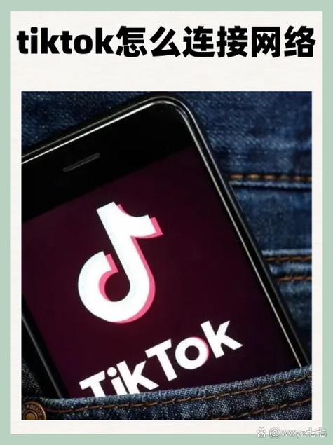 更改手机操作系统下载TikTok_tiktok买粉_TikTok下载教程手把手教学