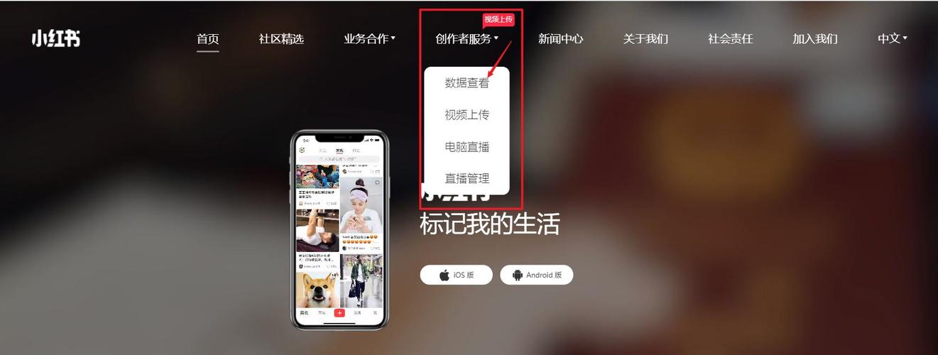 小红书网页版入口网址_小红书涨粉可以赚钱吗_电脑版小红书如何进入